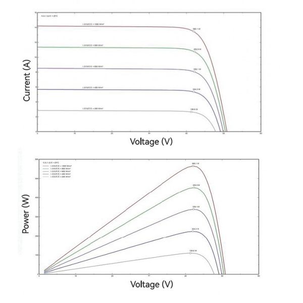 TWMNH-48HD445 Bifacial фото